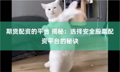 期货配资的平台 揭秘：选择安全股票配资平台的秘诀