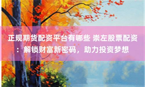 正规期货配资平台有哪些 崇左股票配资:解锁财富新密码,助力投资梦想