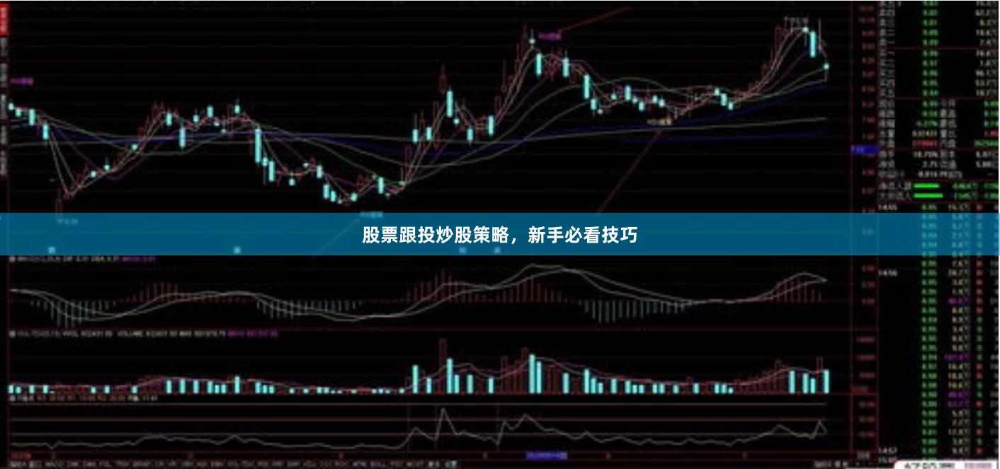 股票跟投炒股策略，新手必看技巧